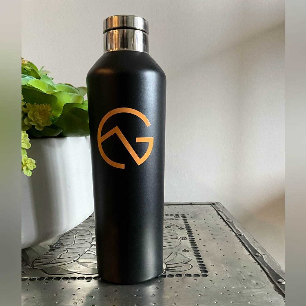NWOT h2go 20‎ Oz. Stainless Steel Insulated Water Bottle